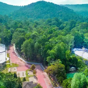 Explore Rompin Rainforest Explorer for 3 days with Asian Overland Services Tours & Travel  and discover unforgettable experiences - Photo 2