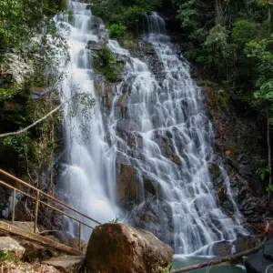 Explore Essential Taman Negara with the Orang Asli 4Days/ 3Nights for 4 days with Asian Overland Services Tours & Travel  and discover unforgettable experiences - Photo 3