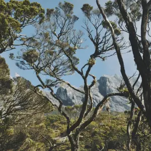 Explore Splendours of Borneo: Kuching to Kota Kinabalu for 7 days with Asian Overland Services Tours & Travel  and discover unforgettable experiences - Photo 2