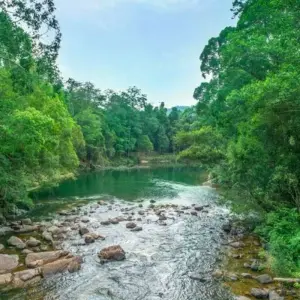 Explore Rompin Rainforest Explorer for 3 days with Asian Overland Services Tours & Travel  and discover unforgettable experiences - Photo 3