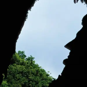 Explore Gunung Mulu National Park for 3 days with Asian Overland Services Tours & Travel  and discover unforgettable experiences - Photo 2