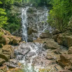 Explore Rompin Rainforest Explorer for 3 days with Asian Overland Services Tours & Travel  and discover unforgettable experiences - Photo 4