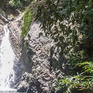 Explore Tabin Wildlife Experience for 3 days with Asian Overland Services Tours & Travel  and discover unforgettable experiences - Photo 3