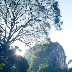 Explore Orou Sapulot 4 Days for 4 days with Asian Overland Services Tours & Travel  and discover unforgettable experiences - Photo 2