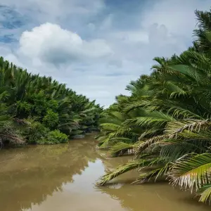 Explore Enchanting Borneo for 9 days with Asian Overland Services Tours & Travel  and discover unforgettable experiences - Photo 5