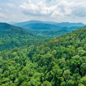 Explore Rompin Rainforest Explorer for 3 days with Asian Overland Services Tours & Travel  and discover unforgettable experiences - Photo 6