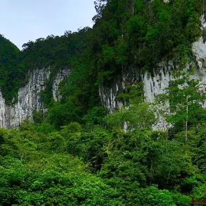 Explore Gunung Mulu National Park for 3 days with Asian Overland Services Tours & Travel  and discover unforgettable experiences - Photo 5