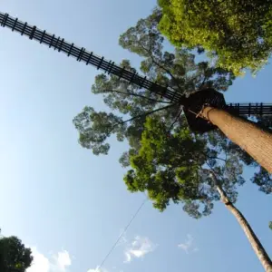 Explore Danum Valley Rainforest Trek for 3 days with Asian Overland Services Tours & Travel  and discover unforgettable experiences - Photo 5