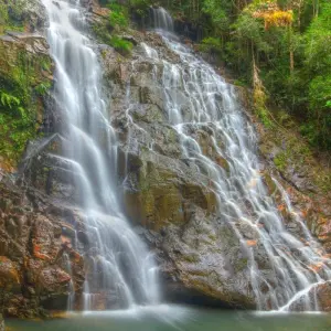 Explore Rompin Rainforest Explorer for 3 days with Asian Overland Services Tours & Travel  and discover unforgettable experiences - Photo 8