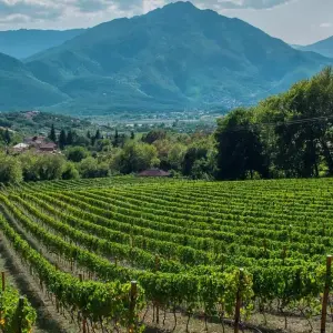 Explore South Peloponnese Guided E-Bike Tour: Areopoli, Monemvasia, Elafonisos, Diros Caves & Mystras for 8 days with Athensbybike and discover unforgettable experiences - Photo 3