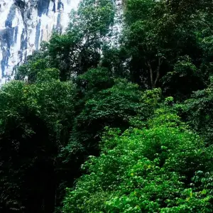 Explore Gunung Mulu National Park for 3 days with Asian Overland Services Tours & Travel  and discover unforgettable experiences - Photo 7