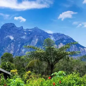 Explore Wildlife Trail Sabah for 6 days with Asian Overland Services Tours & Travel  and discover unforgettable experiences - Photo 7