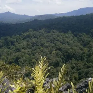 Explore Orou Sapulot 3 Days for 3 days with Asian Overland Services Tours & Travel  and discover unforgettable experiences - Photo 6