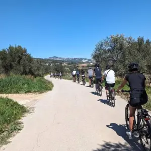 Explore North Greece Guided E-Bike Tour: Mount Olympus, Meteora, Delphi & Plastira Lake for 8 days with Athensbybike and discover unforgettable experiences - Photo 5