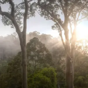 Explore Orou Sapulot 3 Days for 3 days with Asian Overland Services Tours & Travel  and discover unforgettable experiences - Photo 7