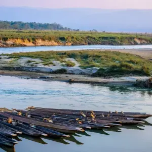 Explore Nepal Highlights Tour for 11 days with Asian Heritage Treks & Expeditions and discover unforgettable experiences - Photo 4