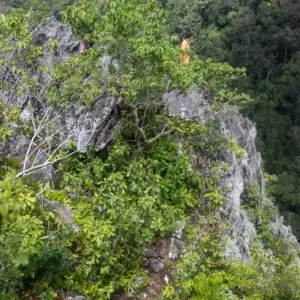 Explore Orou Sapulot 3 Days for 3 days with Asian Overland Services Tours & Travel  and discover unforgettable experiences - Photo 10