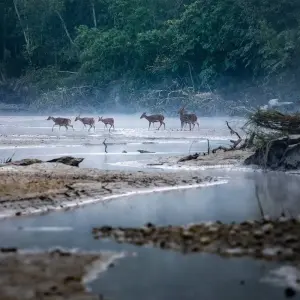 Explore Nepal Highlights Tour for 11 days with Asian Heritage Treks & Expeditions and discover unforgettable experiences - Photo 5