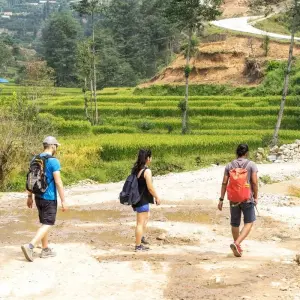 Explore Nepal Highlights Tour for 11 days with Asian Heritage Treks & Expeditions and discover unforgettable experiences - Photo 9