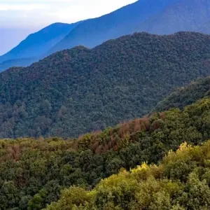 Explore Pikey Base Camp Trek for 10 days with Asian Heritage Treks & Expeditions and discover unforgettable experiences - Photo 6