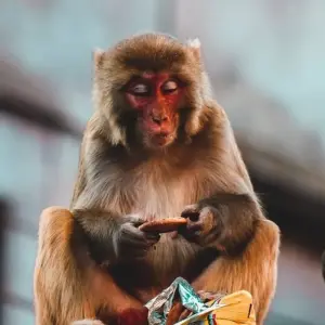 Explore 16-Day Khayar Lake Trek with Poon Hill for 16 days with Asian Heritage Treks & Expeditions and discover unforgettable experiences - Photo 4