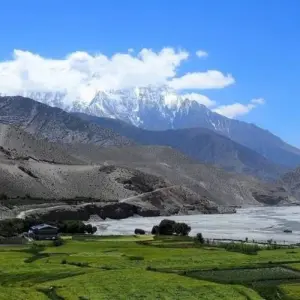 Explore Mohare Danda Trek for 12 days with Asian Heritage Treks & Expeditions and discover unforgettable experiences - Photo 8