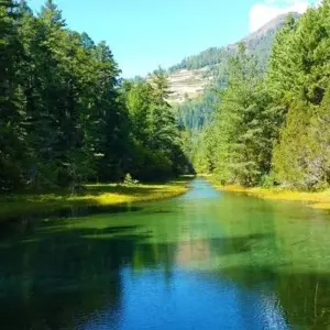 Explore Rara Lake Trek for 13 days with Asian Heritage Treks & Expeditions and discover unforgettable experiences - Photo 8