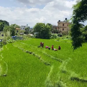 Explore Yoga and Cultural Hike Tour in Kathmandu for 4 days with Asian Heritage Treks & Expeditions and discover unforgettable experiences - Photo 3