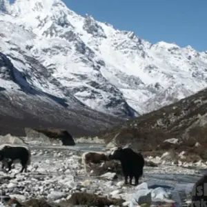 Explore Langtang Valley and Tamang Heritage Trek for 10 days with Asian Heritage Treks & Expeditions and discover unforgettable experiences - Photo 4