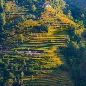 Explore Helambu Trek for 8 days with Asian Heritage Treks & Expeditions and discover unforgettable experiences - Photo 9