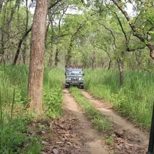 Explore Nepal Cultural Round-Trip Including Poon Hill Trek for 15 days with Asian Heritage Treks & Expeditions and discover unforgettable experiences - Photo 6