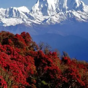 Explore Khayar Lake Trek for 16 days with Asian Heritage Treks & Expeditions and discover unforgettable experiences - Photo 3