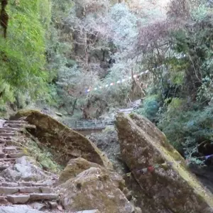 Explore Ghorepani Poon Hill Trek for 9 days with Asian Heritage Treks & Expeditions and discover unforgettable experiences - Photo 4