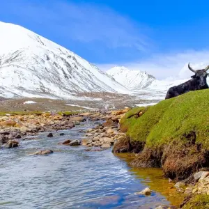Explore Langtang Valley and Tamang Heritage Trek for 10 days with Asian Heritage Treks & Expeditions and discover unforgettable experiences - Photo 9