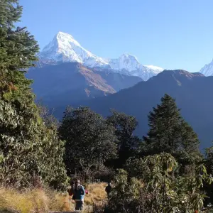 Explore Langtang Valley Trek for 12 days with Asian Heritage Treks & Expeditions and discover unforgettable experiences - Photo 2