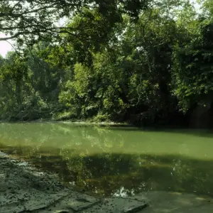 Explore Nepal Wildlife Tour (Bardiya National Park) for 6 days with Asian Heritage Treks & Expeditions and discover unforgettable experiences - Photo 2