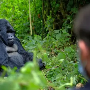 Explore The 7-Day Uganda Rwanda Burundi Overland Tour for 7 days with Augustine Tours Europe UG and discover unforgettable experiences - Photo 2