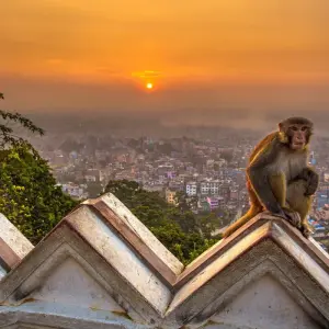 Explore High-End Nepal Round-Trip by Helicopter for 7 days with Asian Heritage Treks & Expeditions and discover unforgettable experiences - Photo 10