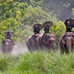 Explore Nepal Wildlife Tour (Bardiya National Park) for 6 days with Asian Heritage Treks & Expeditions and discover unforgettable experiences - Photo 5