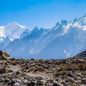 Explore Langtang Valley Trek with Ganja La Pass for 13 days with Asian Heritage Treks & Expeditions and discover unforgettable experiences - Photo 9