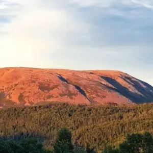Explore Circle Newfoundland & Labrador for 13 days with Atlantic Tours & Travel and discover unforgettable experiences - Photo 6