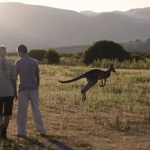 3 Day Great Ocean Road and Grampians - 3 days with Australian Natural Treasures Touring - Photo 4 Explore 3 Day Great Ocean Road and Grampians for 3 days with Australian Natural Treasures Touring and discover unforgettable experiences - Photo 4