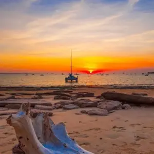 Explore The Ghan Train with Adelaide and Darwin for 8 days with Australia and New Zealand Travel Company and discover unforgettable experiences - Photo 3