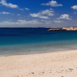 Explore Western Australia Wildflowers Road Trip for 8 days with Australia and New Zealand Travel Company and discover unforgettable experiences - Photo 4