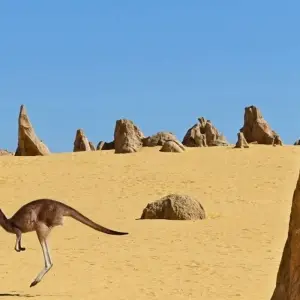 Explore Indian Pacific Train with Sydney & Perth for 13 days with Australia and New Zealand Travel Company and discover unforgettable experiences - Photo 4