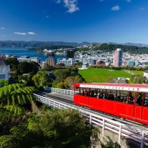 Explore New Zealand By Train, Bus & Ferry for 21 days with Australia and New Zealand Travel Company and discover unforgettable experiences - Photo 3