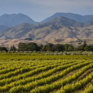 Explore New Zealand By Train, Bus & Ferry for 21 days with Australia and New Zealand Travel Company and discover unforgettable experiences - Photo 4