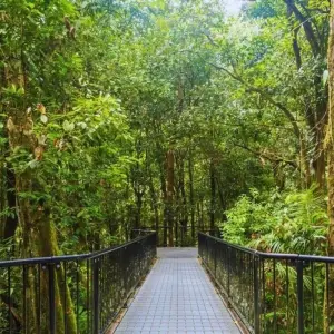 Explore Aussie Icons - Sydney, Cairns & Melbourne for 10 days with Australia and New Zealand Travel Company and discover unforgettable experiences - Photo 4