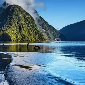 Explore New Zealand By Train, Bus & Ferry for 21 days with Australia and New Zealand Travel Company and discover unforgettable experiences - Photo 5