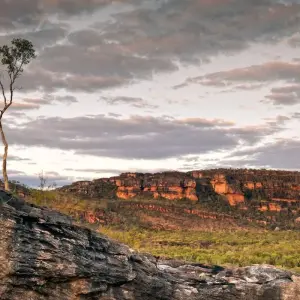 Explore Darwin Getaway with Kakadu & More for 8 days with Australia and New Zealand Travel Company and discover unforgettable experiences - Photo 2